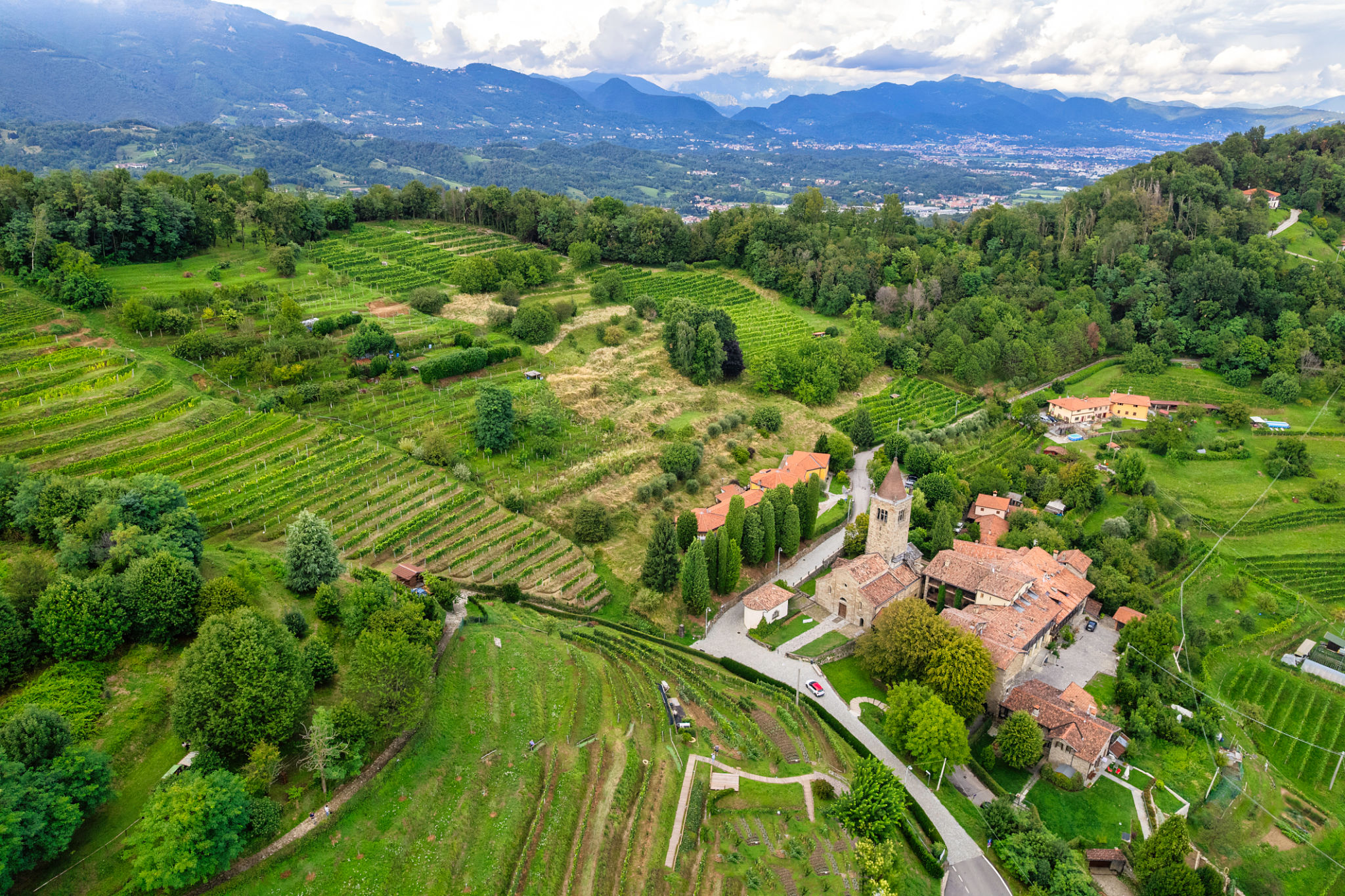 winery history