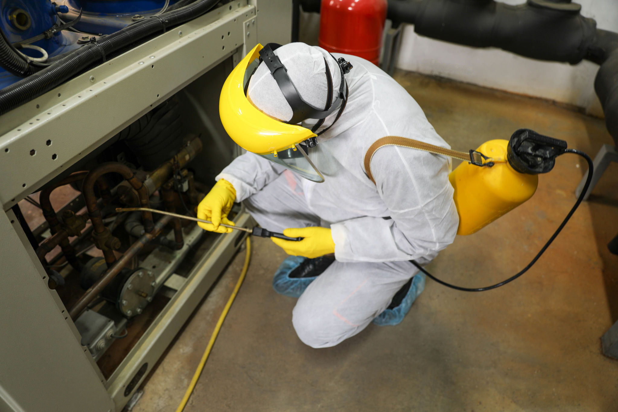 pest control service