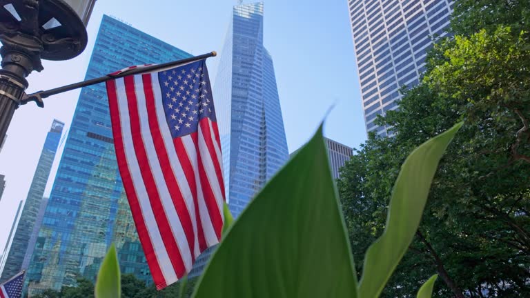 https://media.gettyimages.com/id/2229312595/video/low-angle-shot-of-american-flag-modern-glass-skyscrapers-green-foliage-in-foreground-symbol.jpg?b=1&s=640x640&k=20&c=t8q1Xcu0scHDJjpwRwzWiwcJa1LDIbcNaw8auCuo5A4=