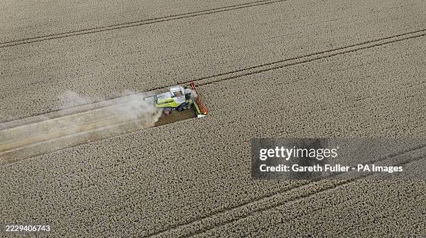 Combine harvester gathers crops on Romney Marsh during the warm weather near Ashford in Kent. Picture date: Friday August 15, 2025.