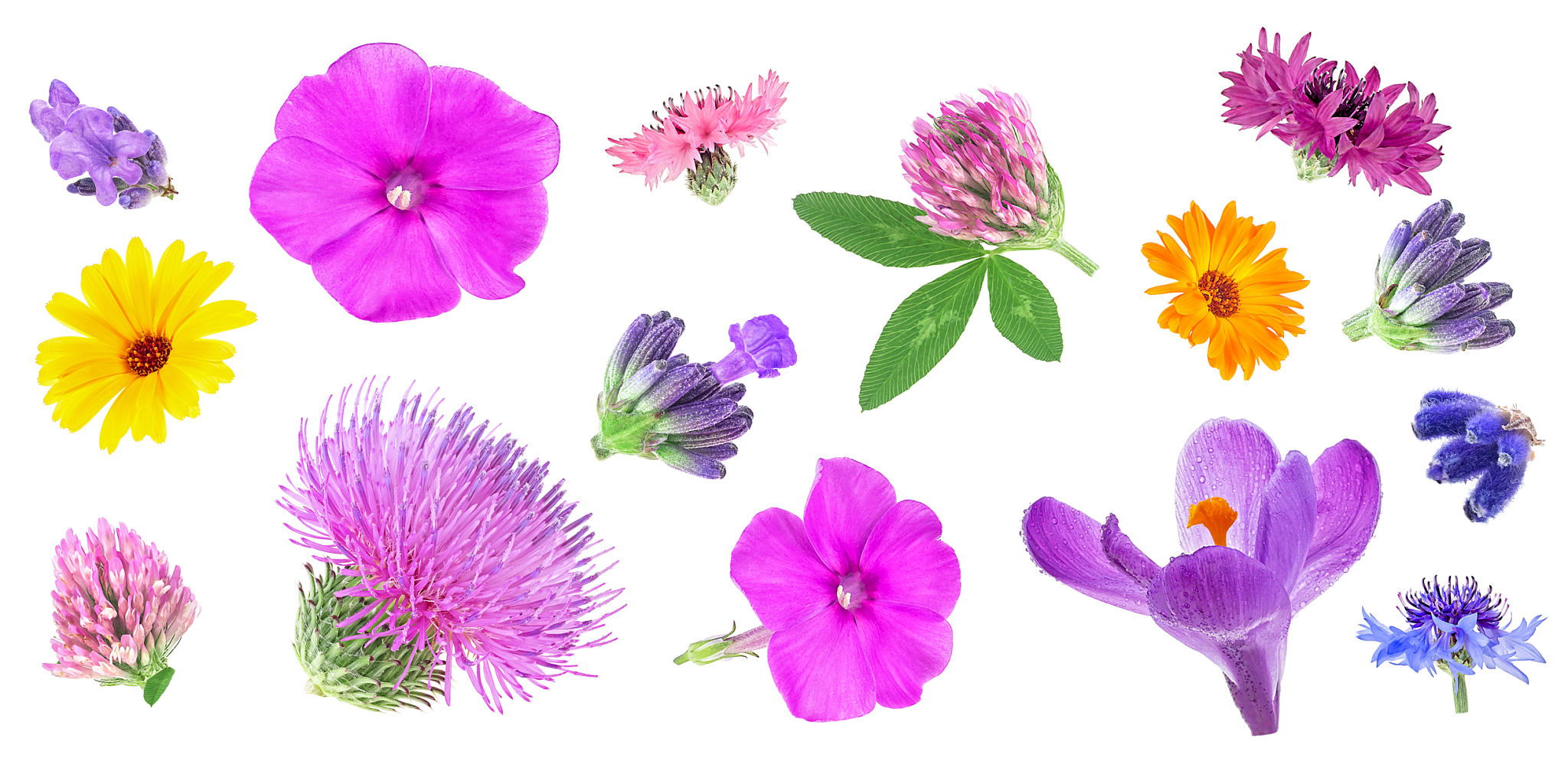 spring flowers mosaic
