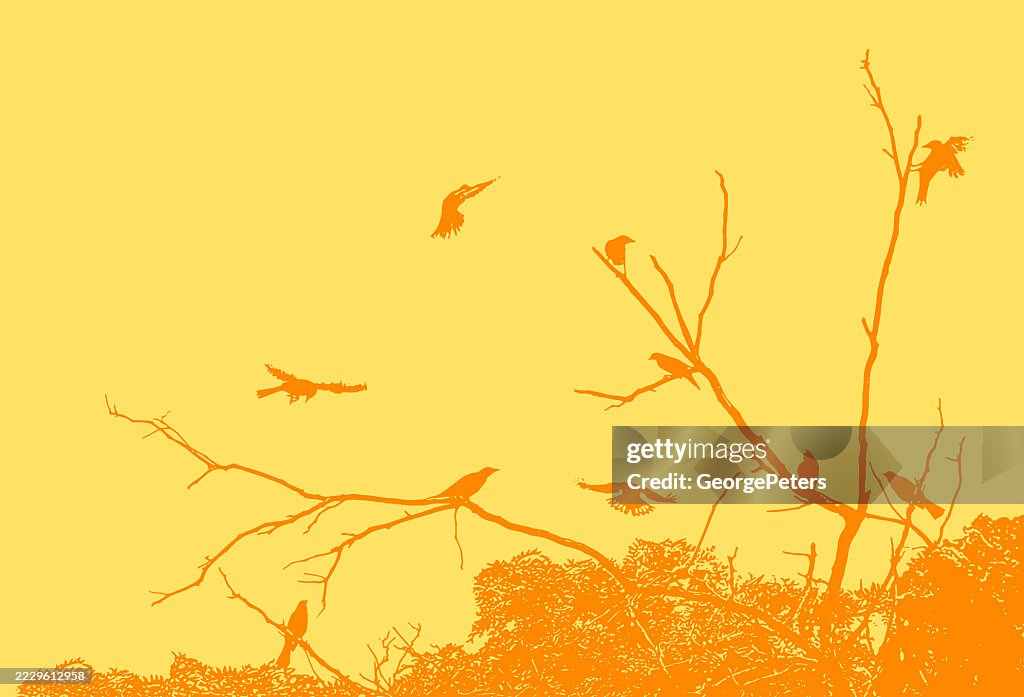 Flock of black birds perching on tree