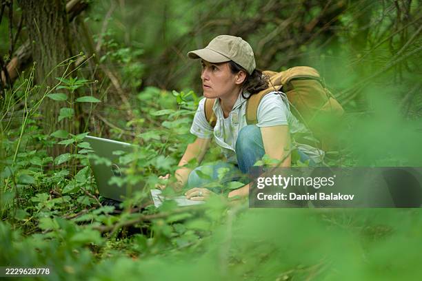 wissenschaftlerin arbeitet mit laptop in der waldfeldforschung - waldarbeiter stock-fotos und bilder
