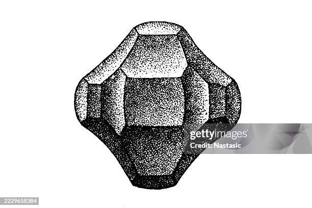 egg of branchipus - embryo stock illustrations