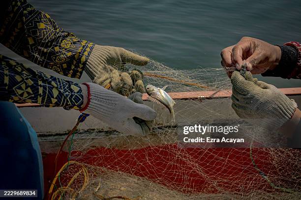 Fishermen haul in their catch during high tide on August 11, 2025 in Hagonoy, Philippines. In the Philippines’ coastal communities, the water has...