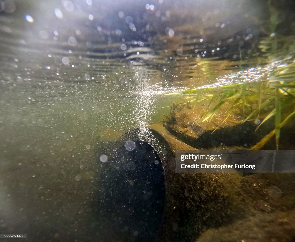 Independent Water Commission Findings Amid UK Sewage Crisis