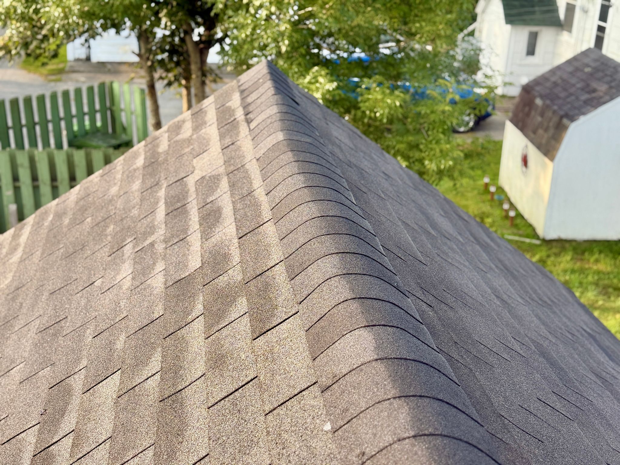 shingles damage