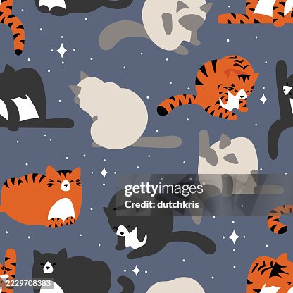 Cute kitty pattern Cute kitty pattern