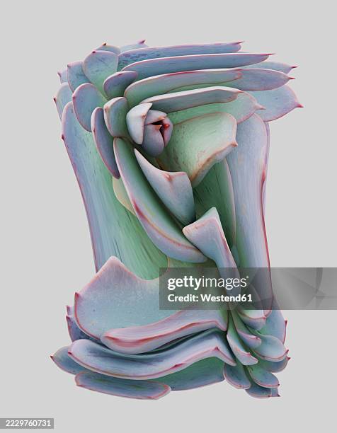 surreal abstract 3d rendering of distorted succulent flower - green studio background stock illustrations