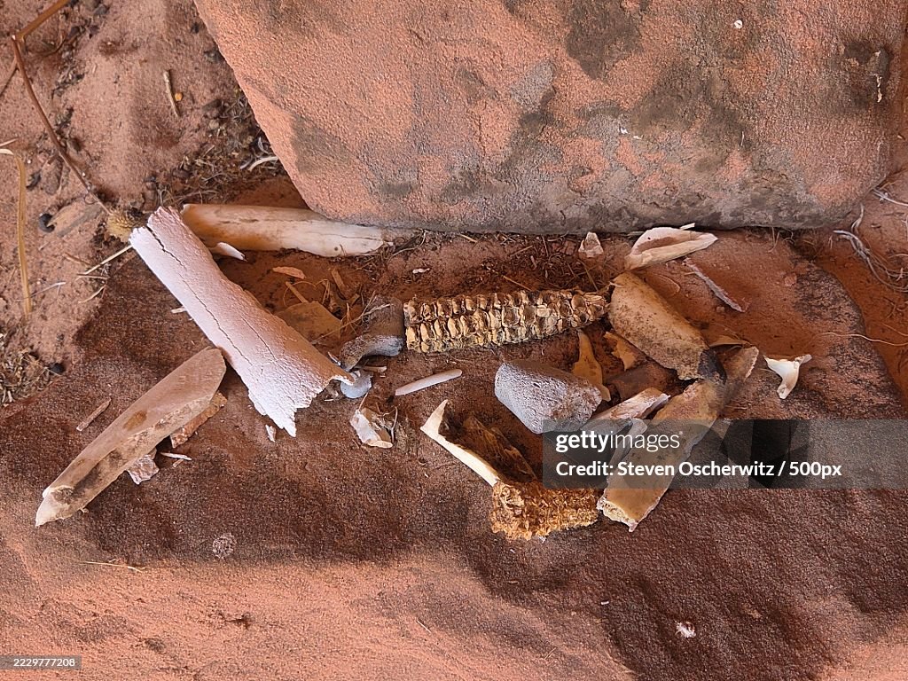 Ancient bone tools and corn cobs on a sandy cave floor