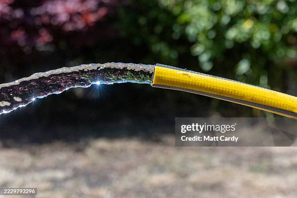Hosepipe waters dry grass on a lawn in a garden in the village of Priston on July 12, 2025 near Bath, England. The first regional hosepipe ban of...