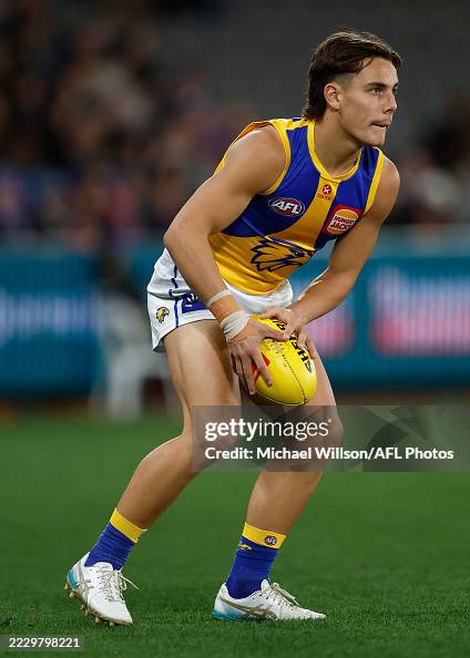 AFL Rd 23 - Western Bulldogs v West Coast AFL Rd 23 - Western Bulldogs v West Coast