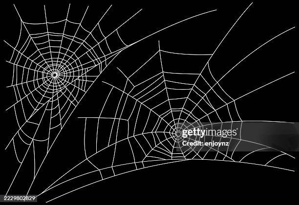 Spiderwebs, Foto de stock