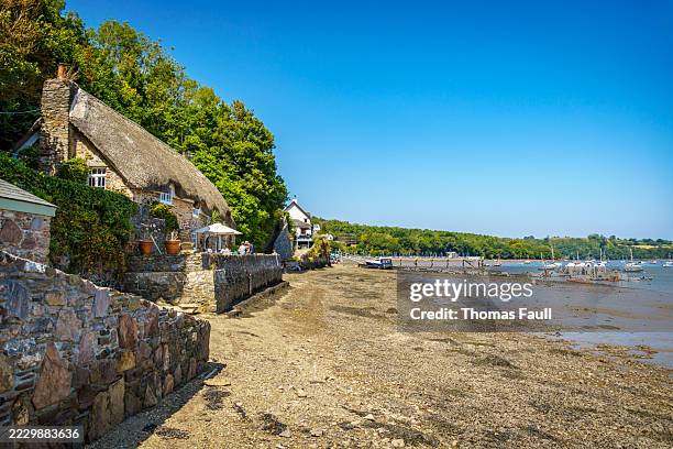 low tide at dittisham in devon - dittisham stock pictures, royalty-free photos & images