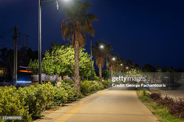 illuminated palm-lined walkway at night - europeo del sur fotografías e imágenes de stock