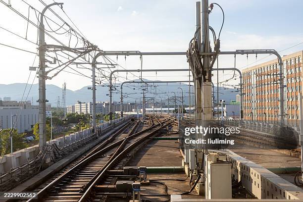 railway train at station. sunlight morning - im scheinwerferlicht gefangen stock-fotos und bilder