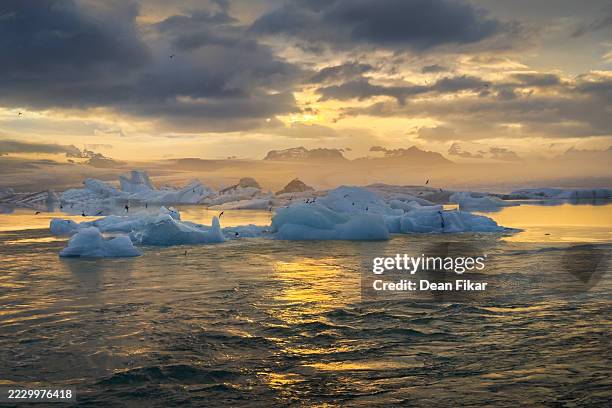 jökulsárlón glacier lagoon on a summer evening - glacier lagoon stock pictures, royalty-free photos & images