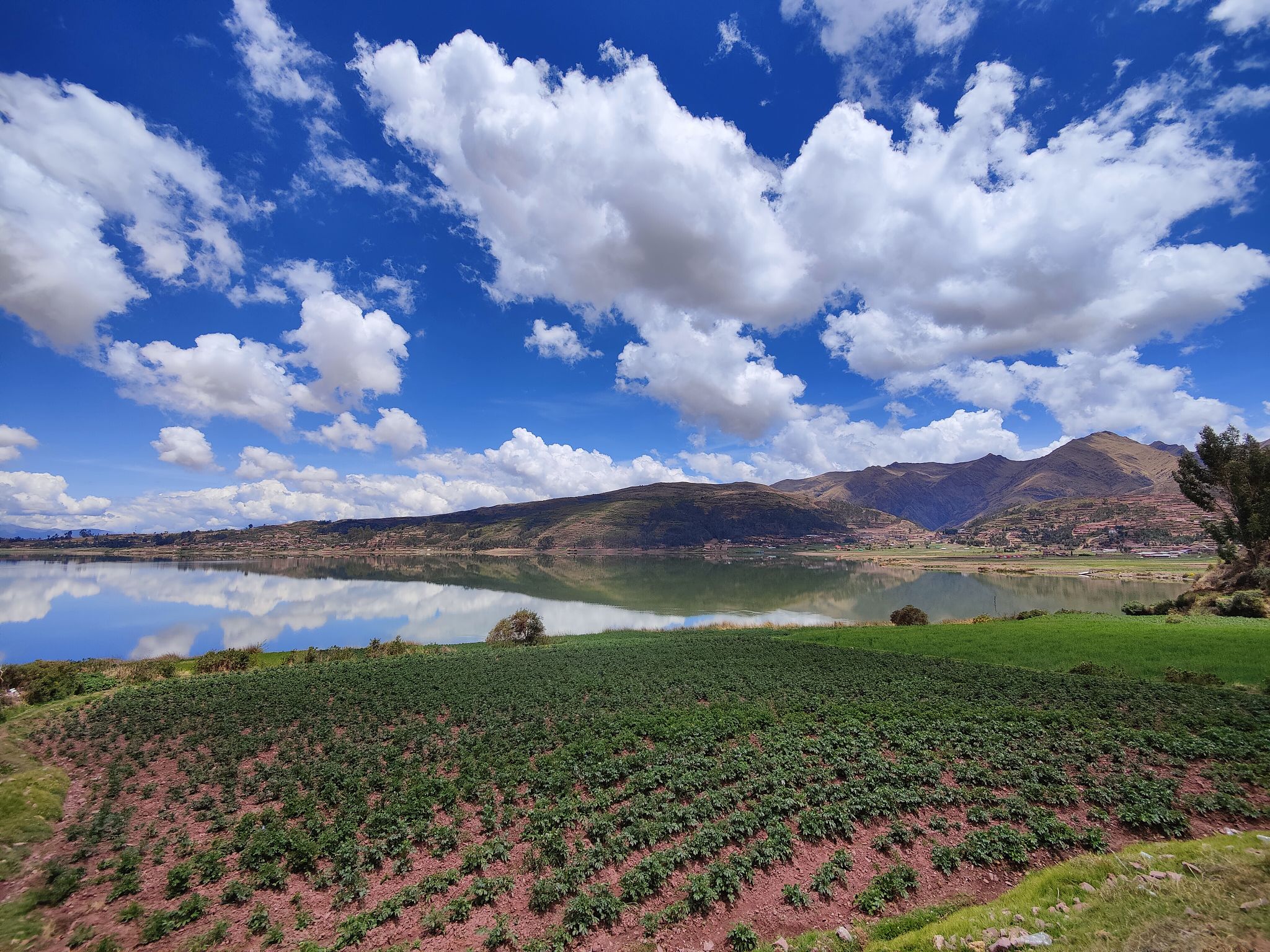 peruvian agriculture