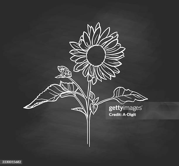 sunflowerpowerblackboard - sunflowers stock illustrations
