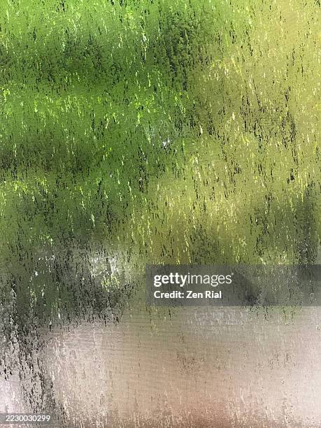 Window Screen Cover Texture 83 Window Screen Texture Stock Photos, High-Res Pictures, and Images ...