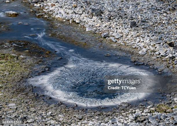 kronotsky nature reserve, kamchatka - kronotsky state biosphere reserve stockfoto's en -beelden
