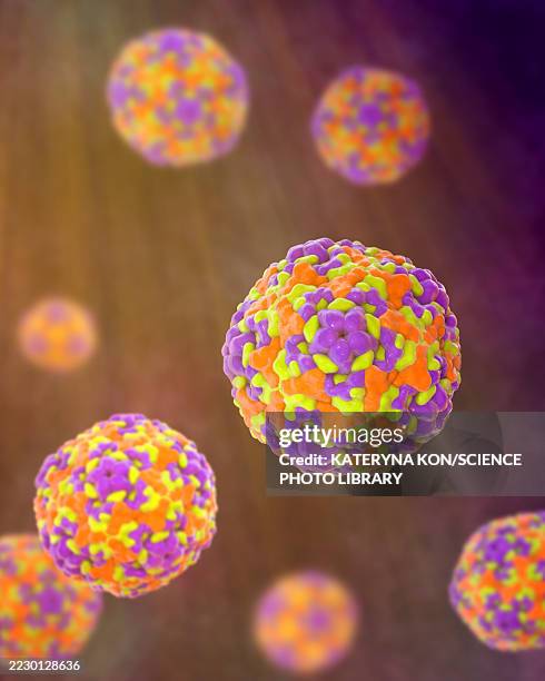enteroviruses, illustration - enterovirus stock illustrations