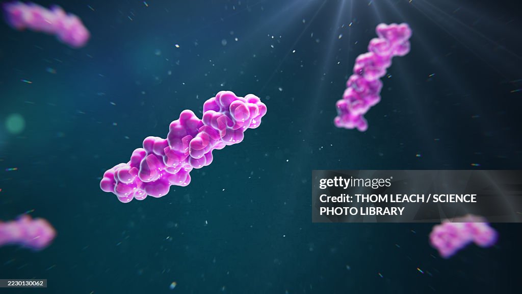 Tirzepatide molecule, conceptual illustration