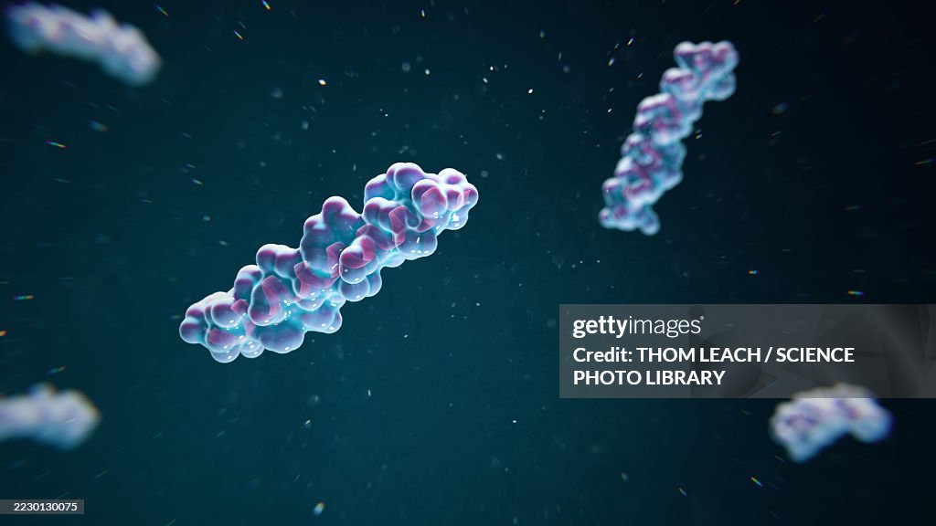 Tirzepatide molecule, conceptual illustration