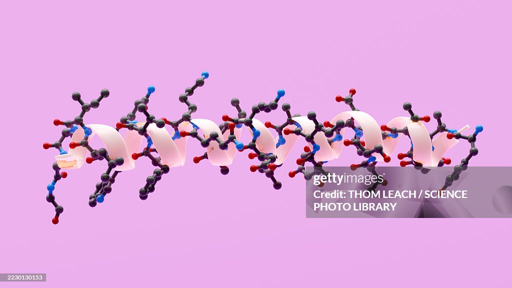 Tirzepatide molecule, conceptual illustration