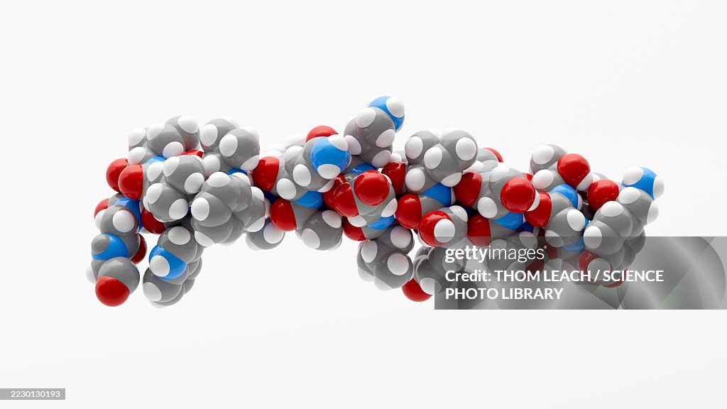 Tirzepatide molecule, conceptual illustration