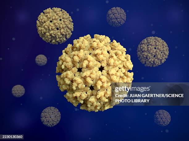 chikungunya virus particles, illustration - global health stock illustrations