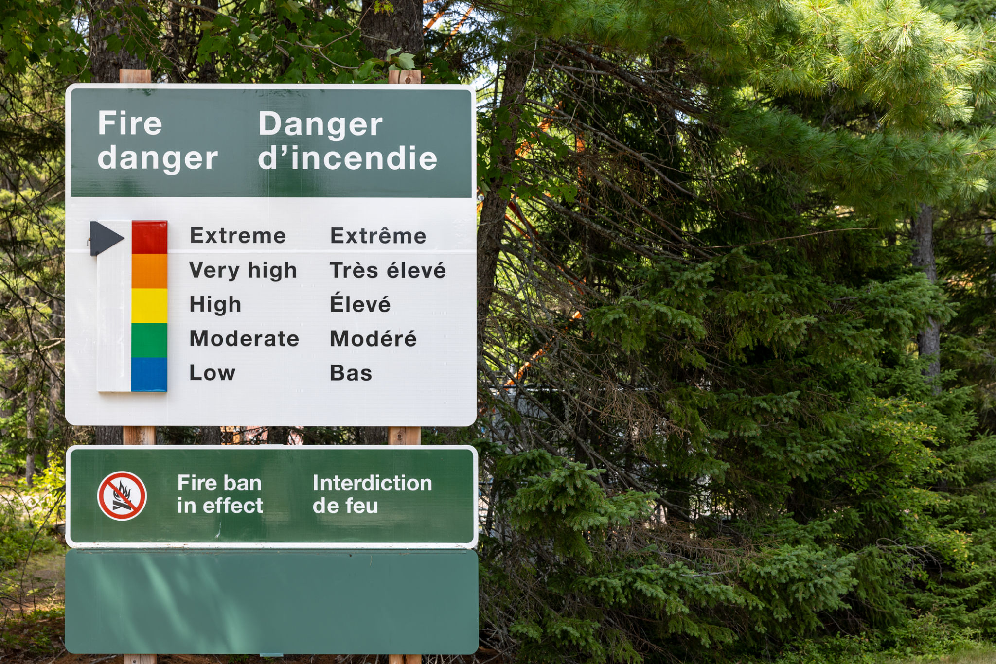 french language