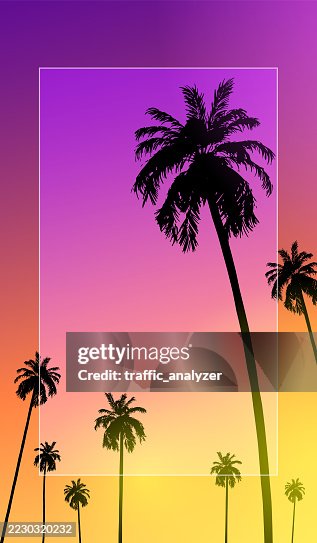 Palm trees Palm trees