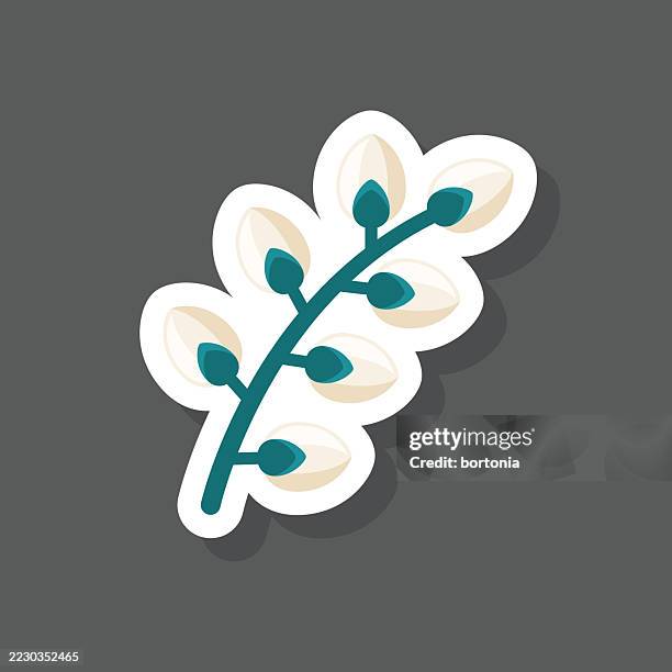 pussy willow sticker icon - willow tree stock illustrations