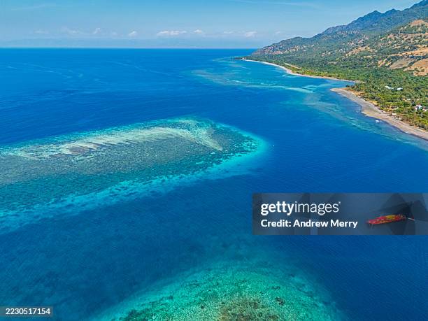 Tiparoo Reef 3,395 Fish Swimming Top View Stock Photos, High-Res Pictures, and ...