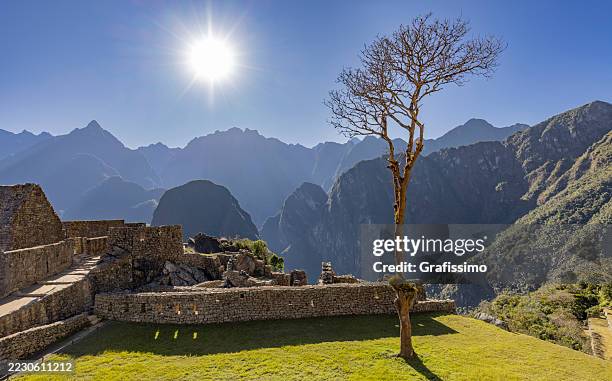 Etk Inca 4,127 Pre Columbian Artifacts Stock Photos, High-Res Pictures, and ...