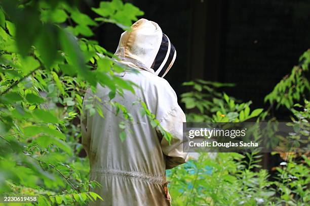 beekeeper in a protective suit - roupa protetora imagens e fotografias de stock