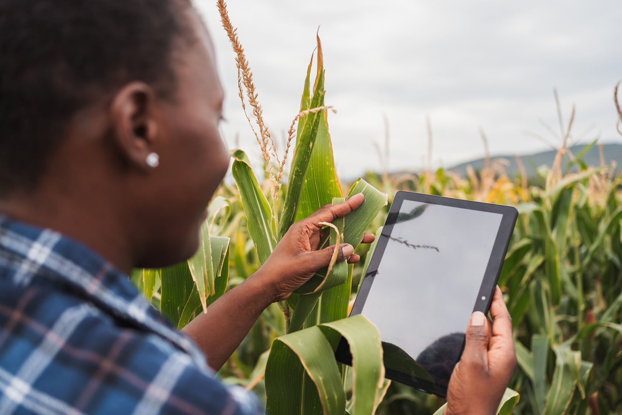 precision agriculture