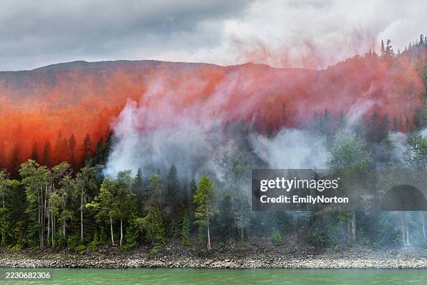 forest fire, northern british columbia, canada - reserva selvagem imagens e fotografias de stock