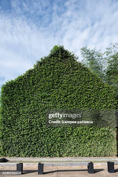 a building with a green hedge on top of it - lawn fertilizer stock pictures, royalty-free photos & images