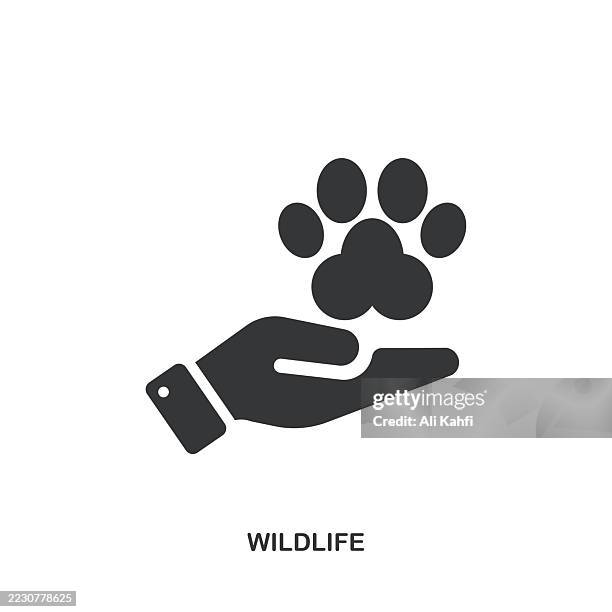 wildlife glyph solid icon. solid icon that can be applied anywhere, simple, pixel perfect and modern style. - squirrel isolated stock illustrations