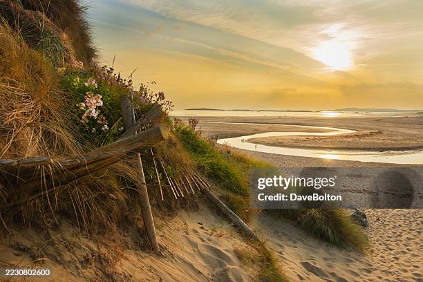rhosneigr beach on anglesey, wales, at sunset - sea grass stock pictures, royalty-free photos & images