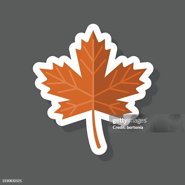 ahornblatt aufkleber symbol - ahornblatt stock-grafiken, -clipart, -cartoons und -symbole