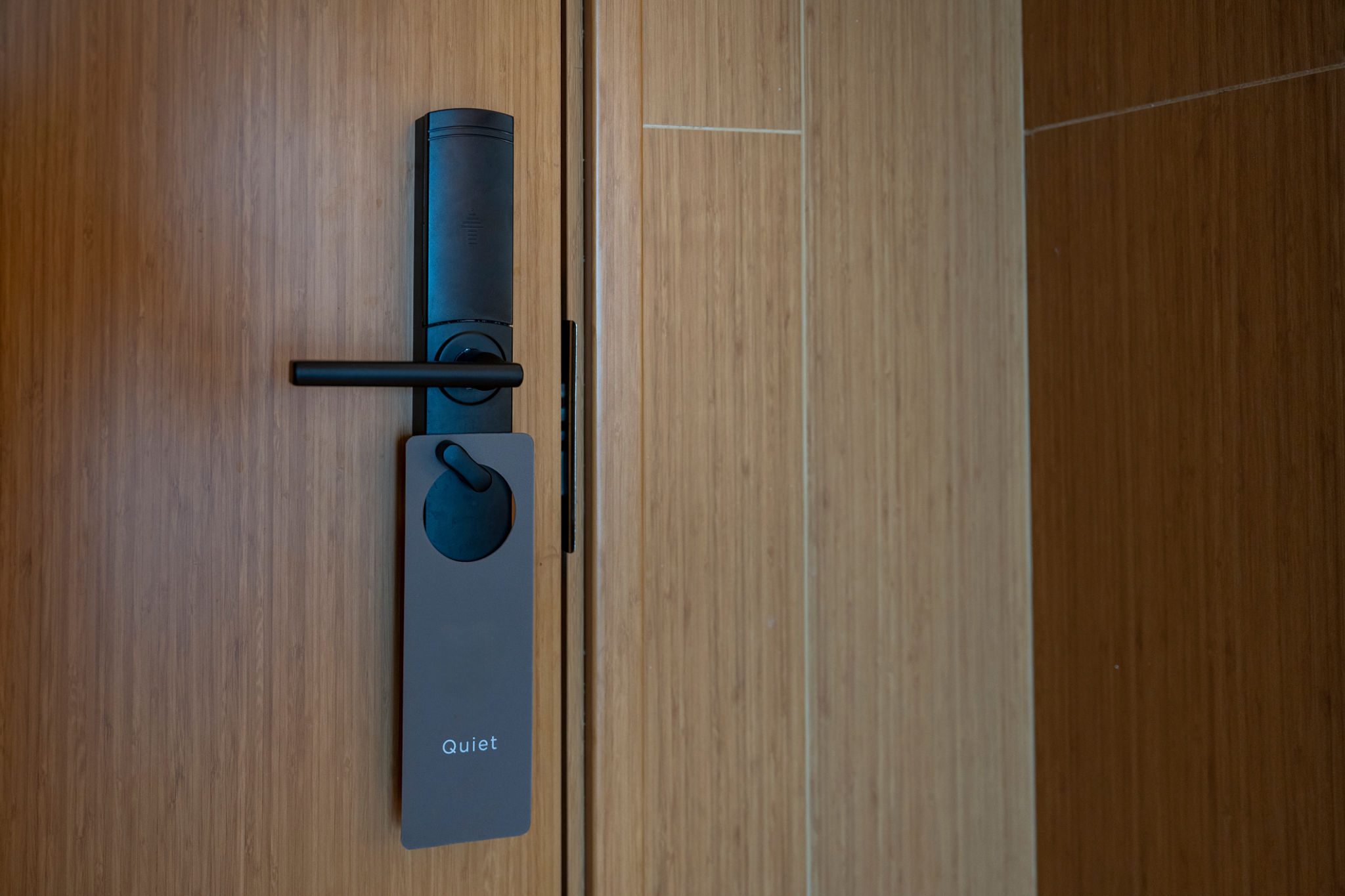 modern door handle