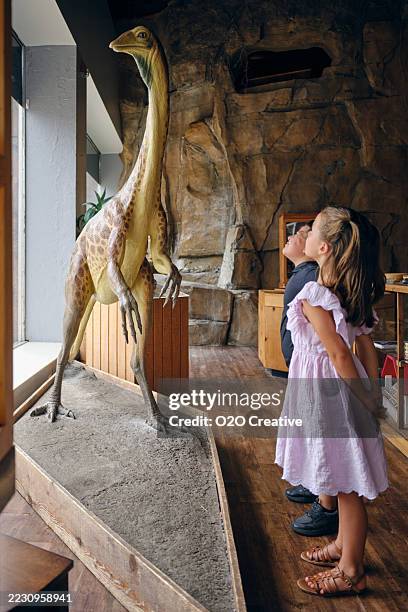 bambini che guardano una mostra di dinosauri in un museo di storia - dinosauri foto e immagini stock