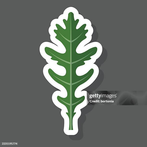 arugula rocket herb sticker icon - arugula stock illustrations