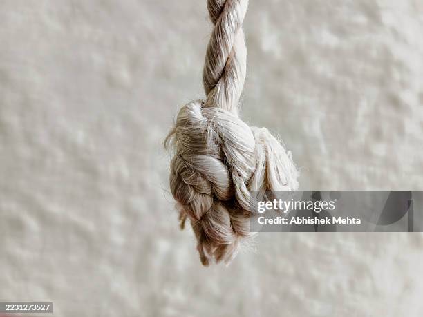 Two Ropes Entwined 80 Two Ropes Intertwined Stock Photos, High-Res Pictures, and Images ...