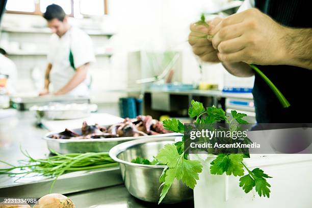 chefkoch bereitet oktopus und frische petersilie in der großküche zu - gewerbliche küche stock-fotos und bilder