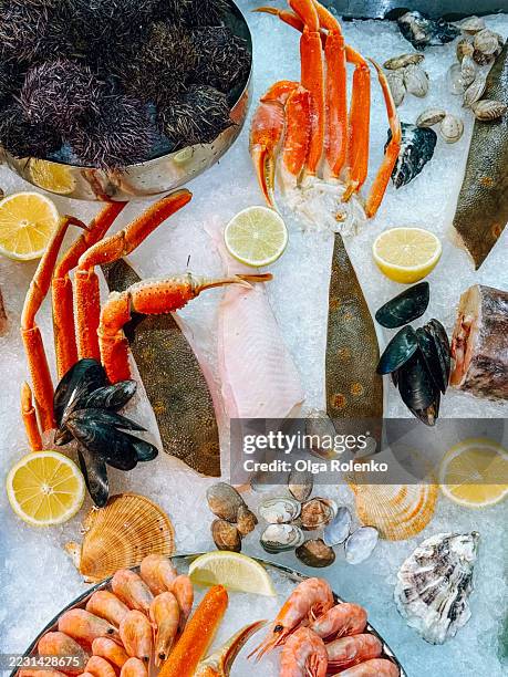 fresh seafood displayed on ice with lemon wedges and sea urchins - crustacean stock pictures, royalty-free photos & images