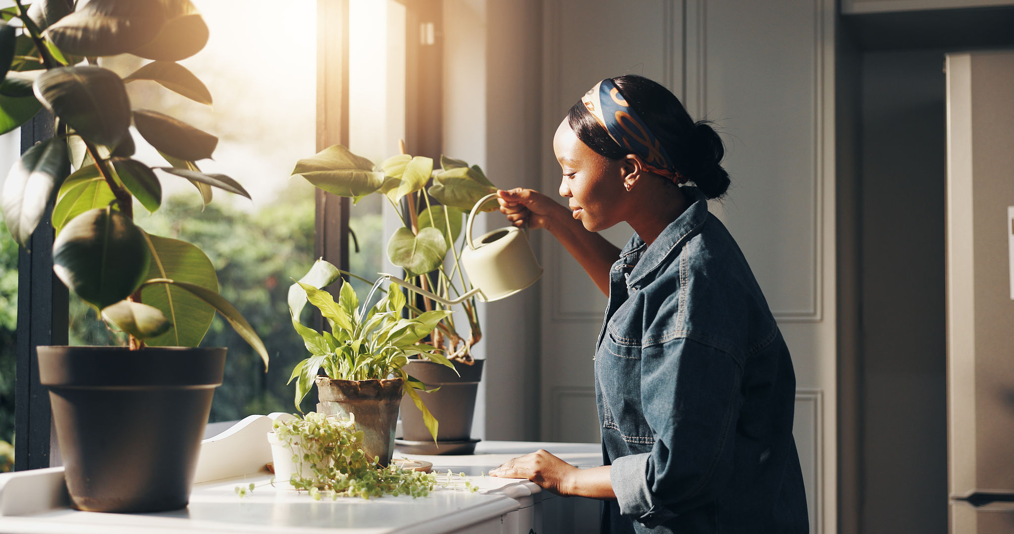 Black woman, plants or water with pot in home for natural sustainability, growth or ecology. Homeowner, female person or environmentalist feeding fern with window sunlight for greenhouse conservation Black woman, plants or water with pot in home for natural sustainability, growth or ecology. Homeowner, female person or environmentalist feeding fern with window sunlight for greenhouse conservation